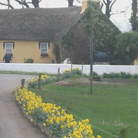 Bed & Breakfast Knights Haven Glin